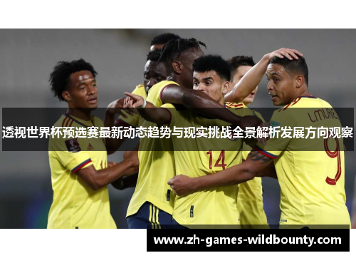 透视世界杯预选赛最新动态趋势与现实挑战全景解析发展方向观察